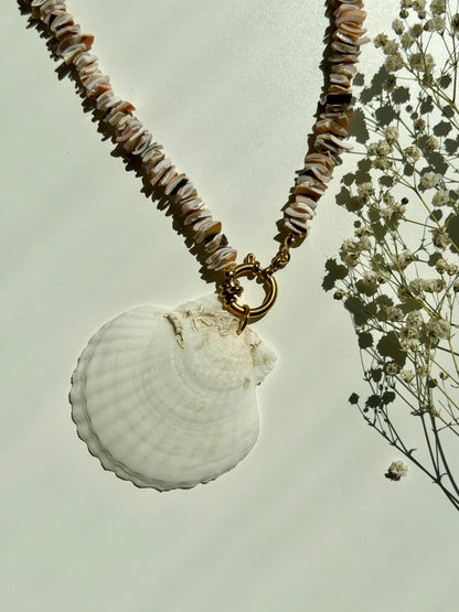 Shell Reef – Muschel Halskette mit großer Naturmuschel – handgefertigt
