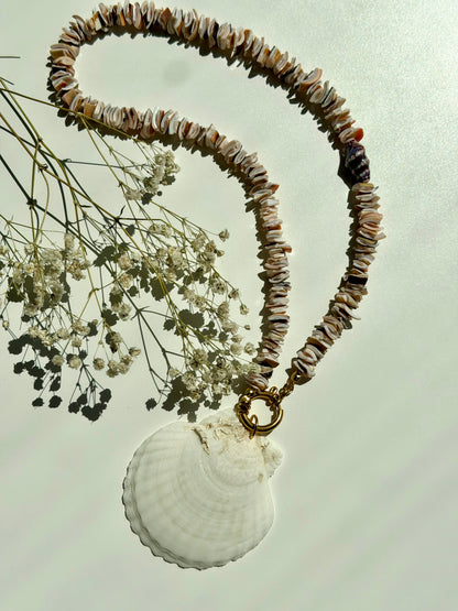 Shell Reef – Muschel Halskette mit großer Naturmuschel – handgefertigt